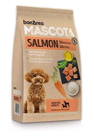 food-dog-sport-M